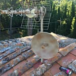 WhatsApp Image 2020-07-08 at 20.27.48 WhatsApp Image 2020-07-08 at 20.27.48