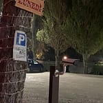 photo_2021-11-19_16-12-28 photo_2021-11-19_16-12-28